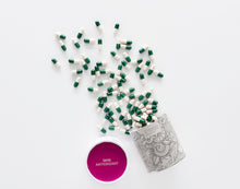 Load image into Gallery viewer, Advanced Nutrition Programme Skin Antioxidant 60 capsules